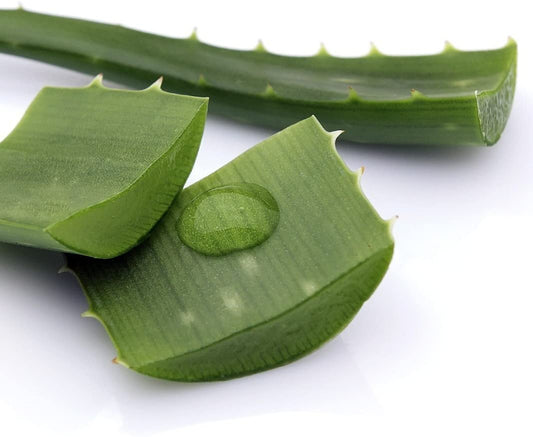 Aloe Vera (Sábila) Turkish Natural Soap