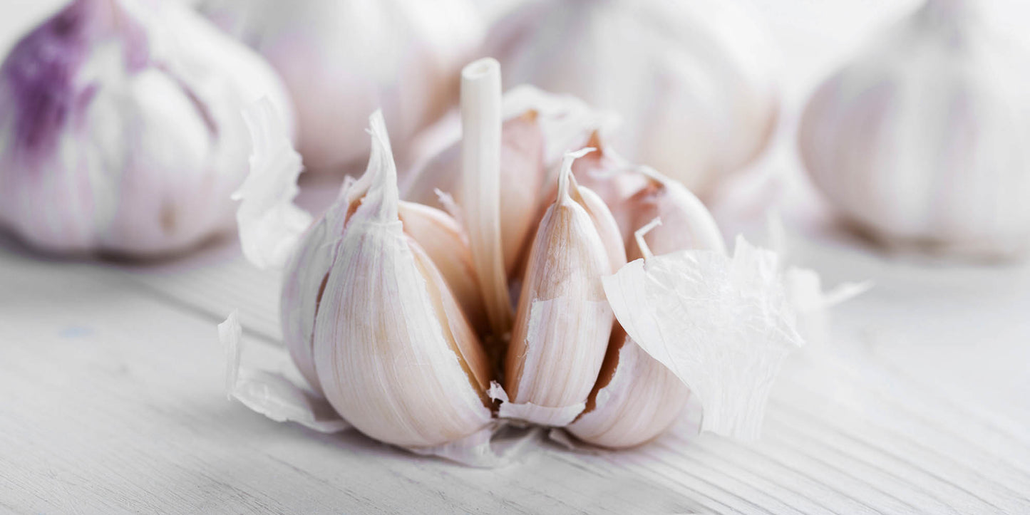 Garlic (Ajo-Sarimsak) Soap