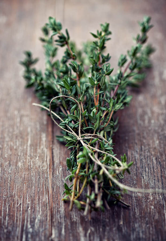 Thyme (Tomillo) Soap